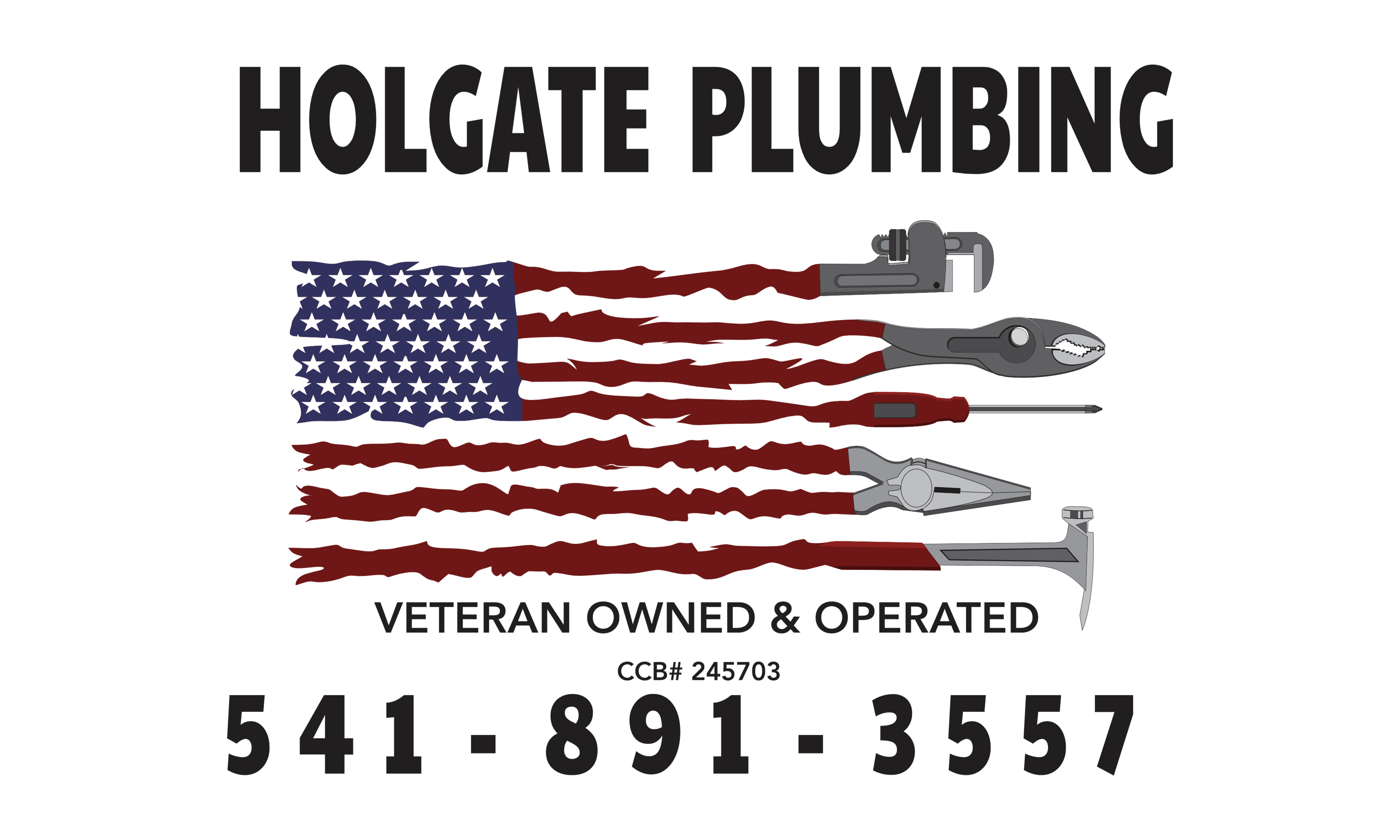Holgate Plumbing banner